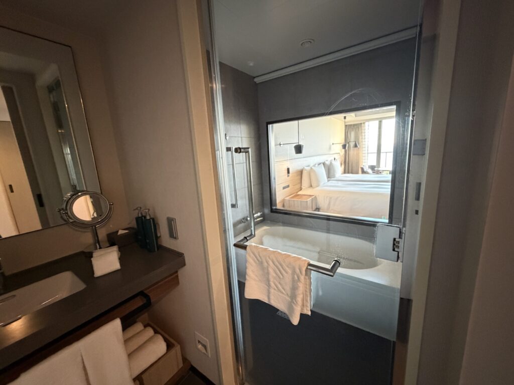 部屋のお風呂の写真です。