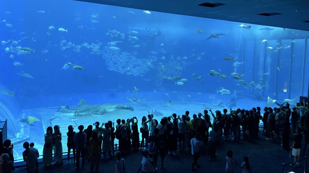 美ら海水族館の写真です。