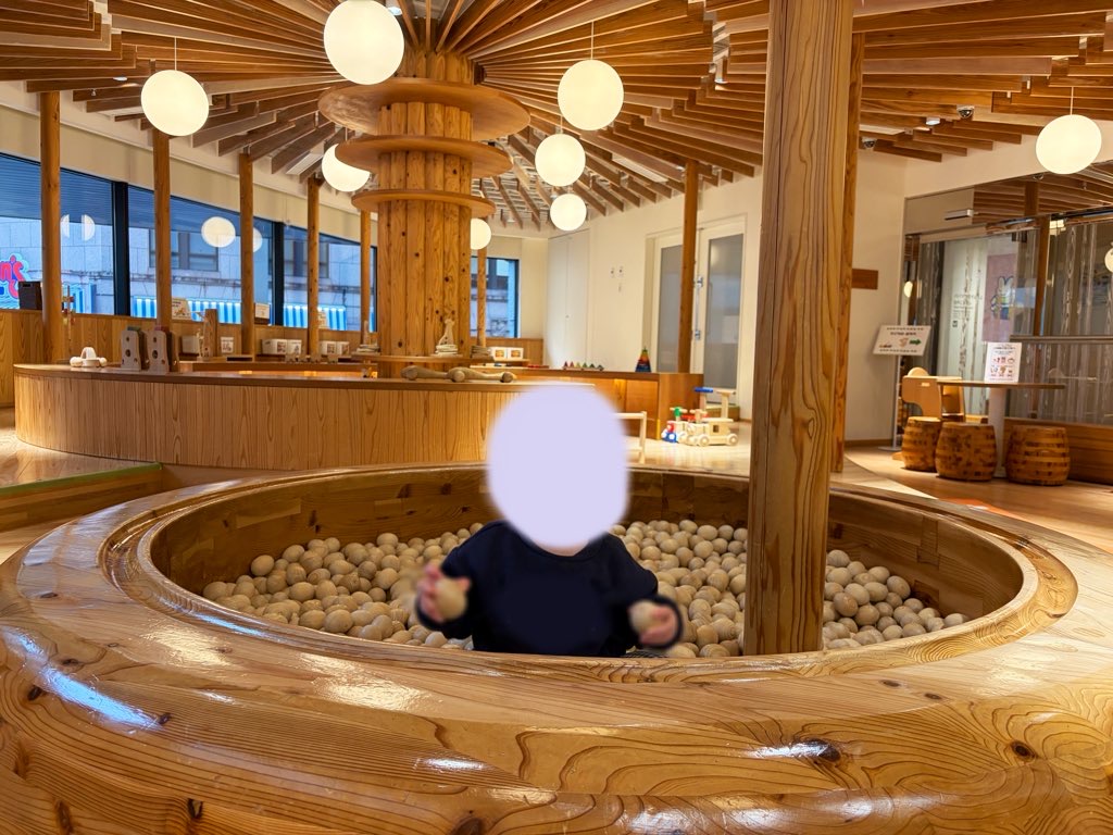 木のボールプールの写真です。