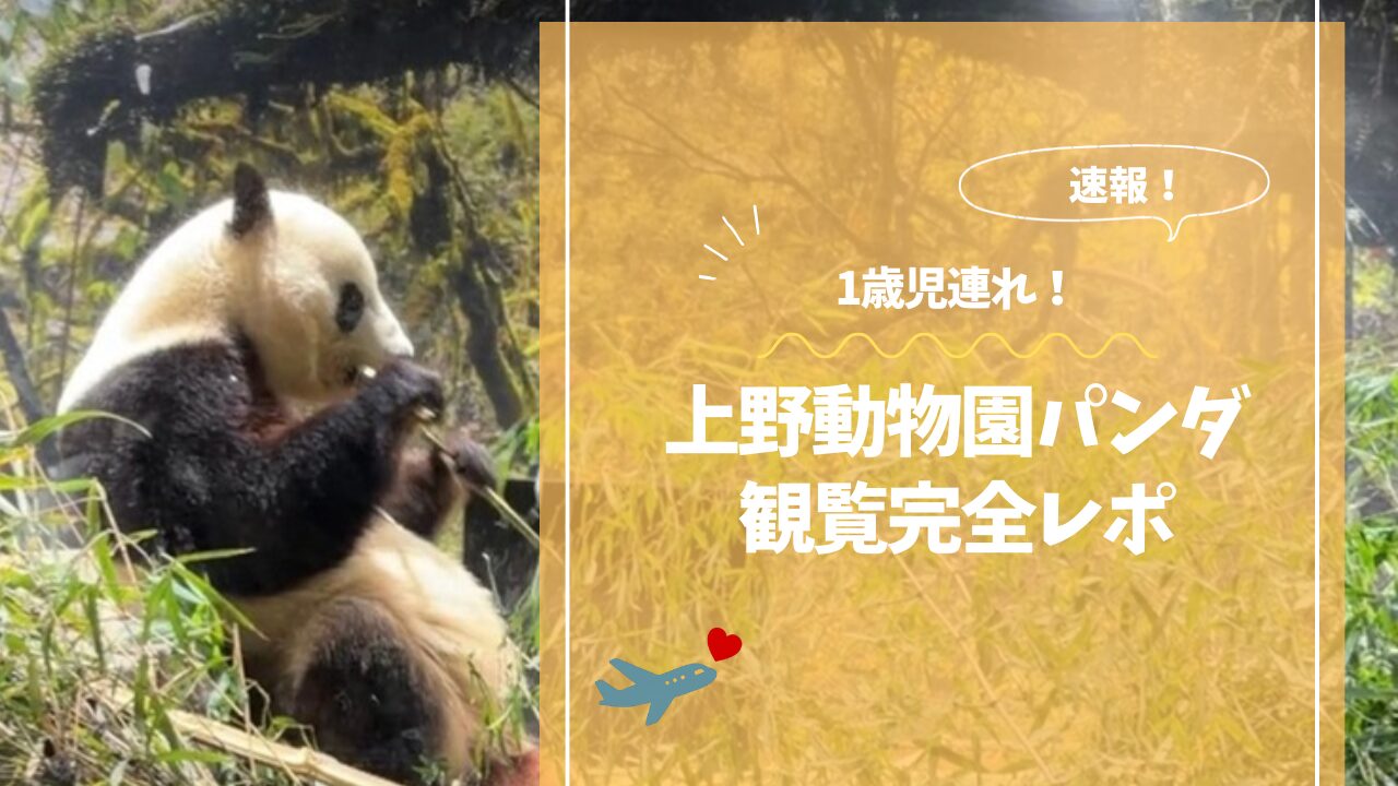 アイキャッチ画像です。