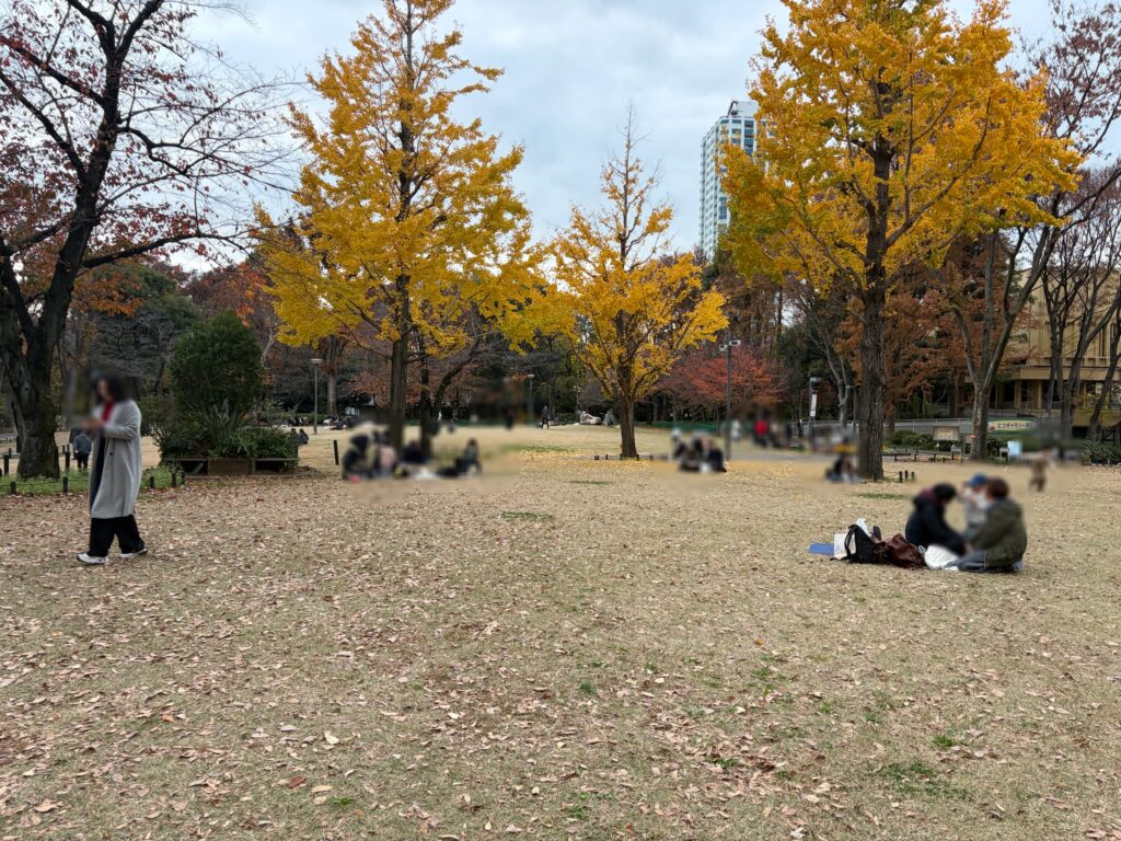 芝生広場の写真です。