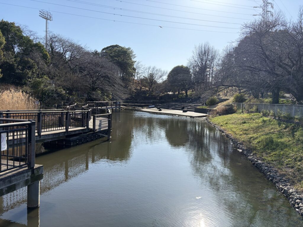 籠原池の写真です。