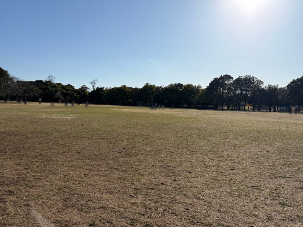 岸根公園のひょうたん原っぱです。