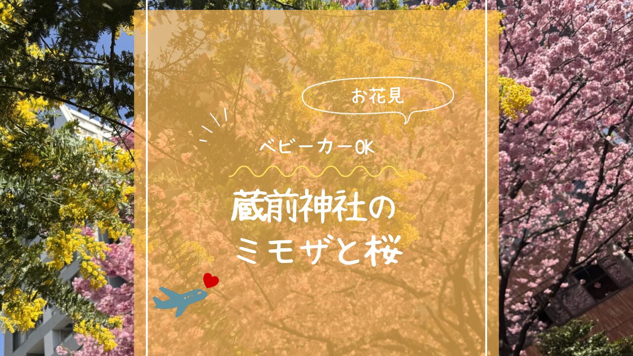 アイキャッチ画像です。