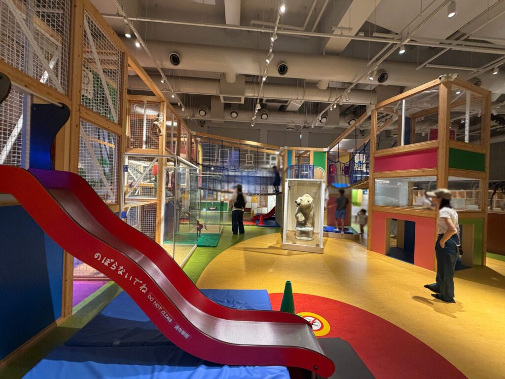 コンパスのアスレチックの様子です。