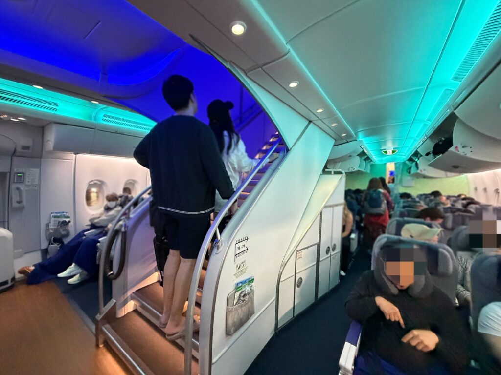 フライングホヌの中です。
