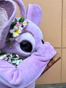 アウラニのエンジェルです。
