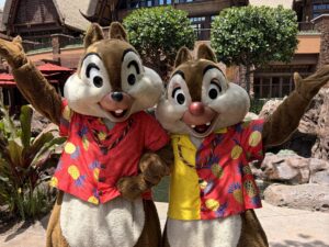 アウラニのチップとデールです。