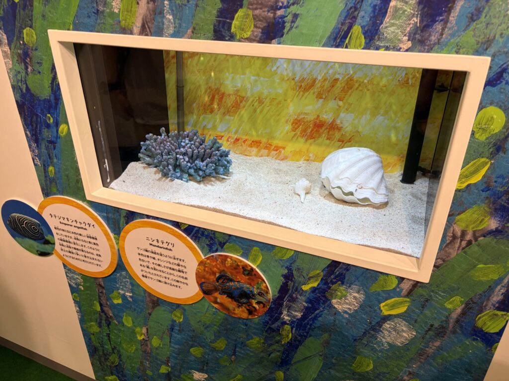 しながわ水族館のエリックカールコラボの展示です。