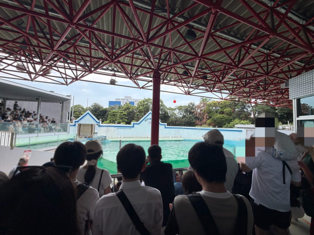 しながわ水族館のイルカショーです。