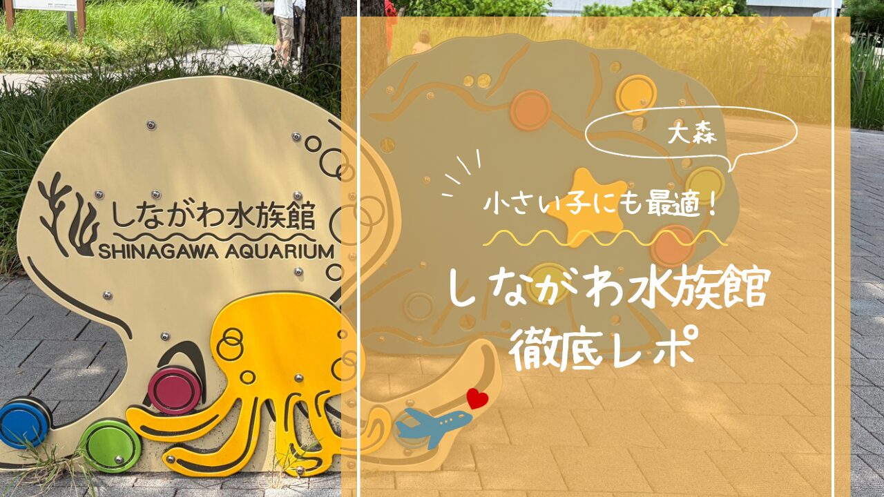 アイキャッチ画像です。