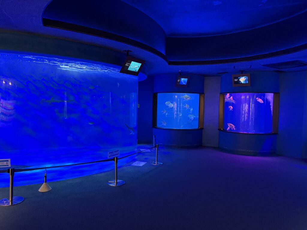 仙台うみの杜水族館の水槽です。