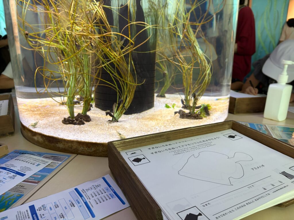 仙台うみの杜水族館の塗り絵コーナーです。