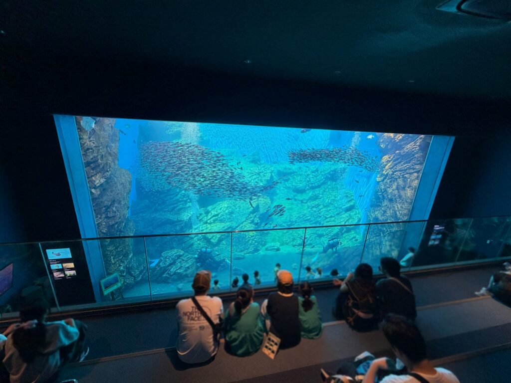 仙台うみの杜水族館の水槽です。