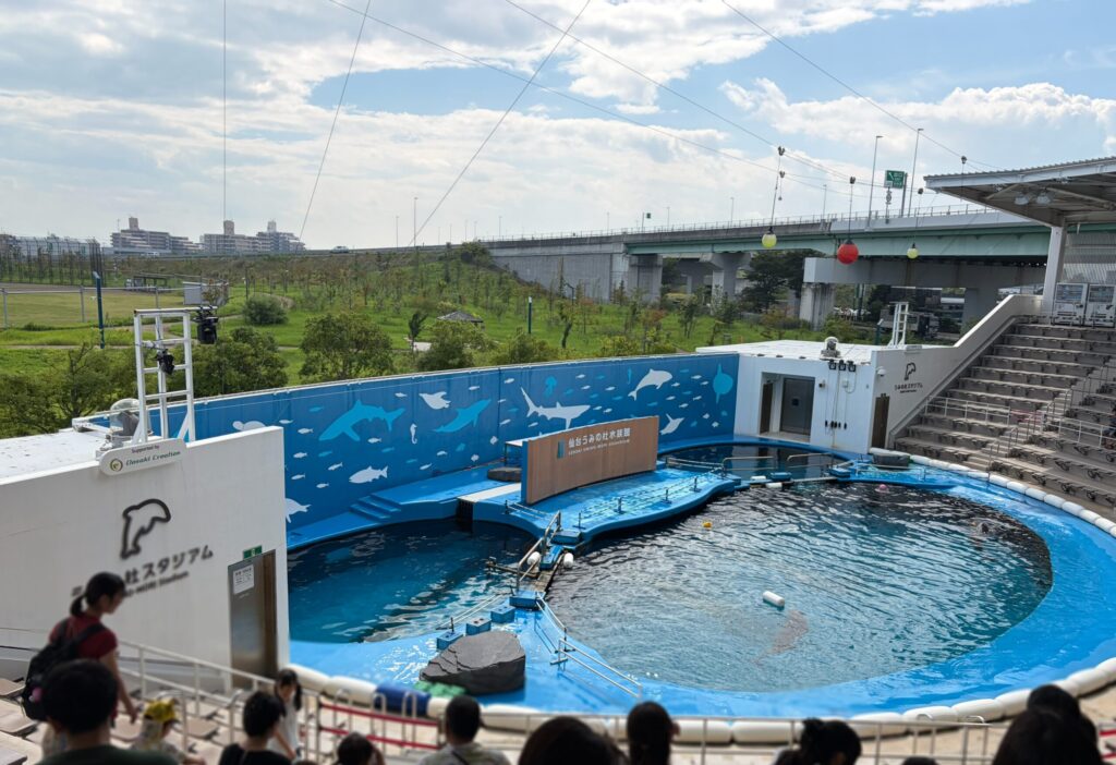 仙台うみの杜水族館のイルカショーです。