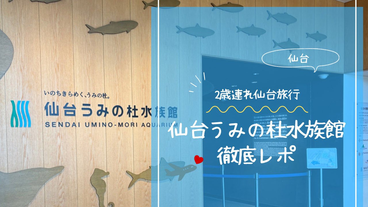 アイキャッチ画像です。